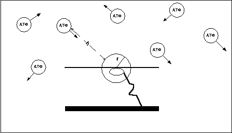 рис. 10