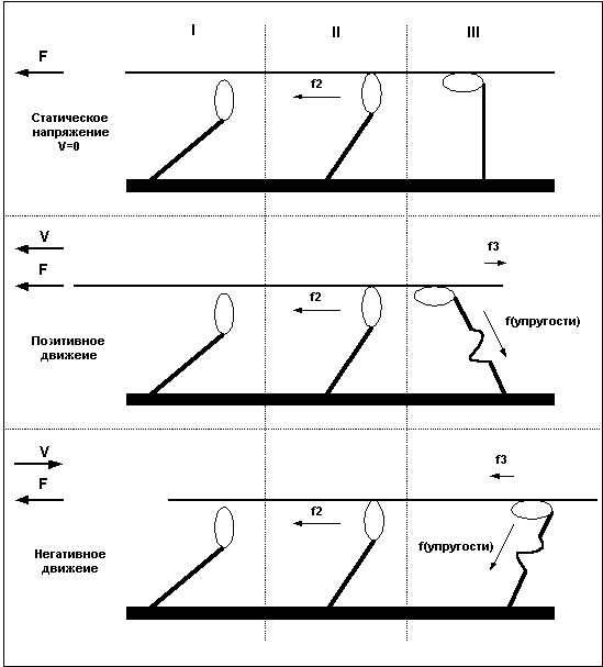 Регуляция силы и скорости мышечного сокращения: различия между статическим
 напряжением, позитивным и негативным движением.