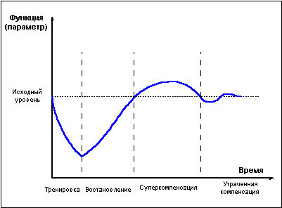 рис. 1